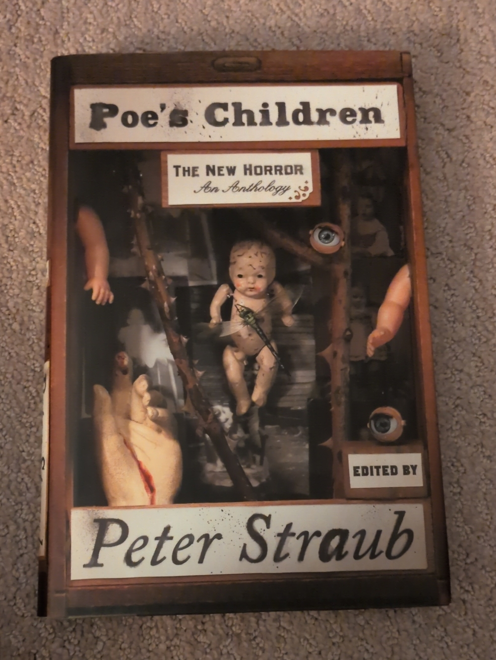 Poes Children, Peter Straub